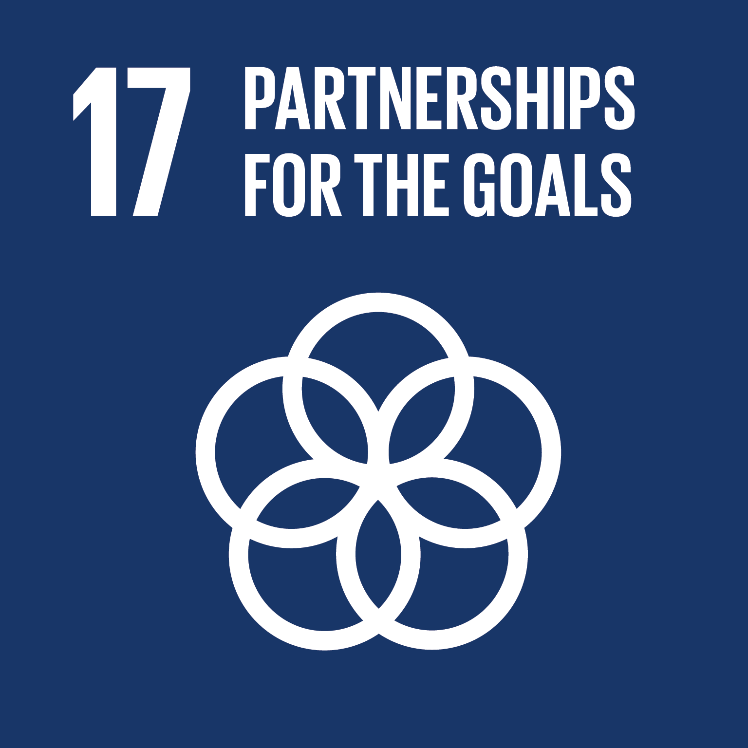 UN Sustainable Development Goal 17: Partnerships for the Goals